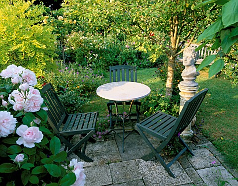 WOODCHIPPINGS__NORTHANTS_TABLE_AND_CHAIRS_BESIDE_ALNUS_INCANA_AUREA_AND_THE_ENGLISH_ROSE_BARBARA_AUS