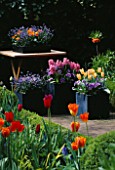 KEUKENHOF GARDENS  HOLLAND: CONTAINERS CRAMMED WITH HYACINTHS  PANSIES AND TULIPS