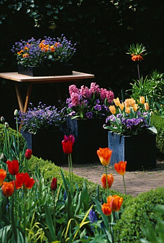 KEUKENHOF_GARDENS__HOLLAND_CONTAINERS_CRAMMED_WITH_HYACINTHS__PANSIES_AND_TULIPS