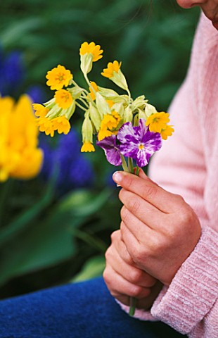 DESIGNER_CLARE_MATTHEWS_FLOWERS_FOR_EATING__GIRLS_HAND_WITH_COWSLIPS_PRIMULA_VERIS_AND_VIOLAS