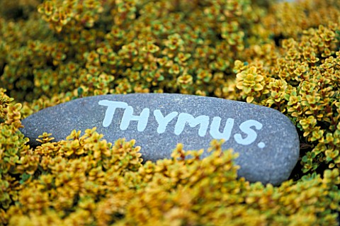 DESIGNER_CLARE_MATTHEWS_THYME_LABEL_MADE_FROM_SLATE