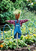 DESIGNER CLARE MATTHEWS: SCARECROW PROJECT: SCARECROW IN POTAGER