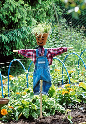 DESIGNER_CLARE_MATTHEWS_SCARECROW_PROJECT_SCARECROW_IN_POTAGER