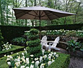 KEUKENHOF GARDENS  HOLLAND: FORMAL WHITE GARDEN WITH BOX HEDGING AND TOPIARY  SEATS AND PARASOL. IN BEDS IS HYACINTH CARNEGIE AND NARCISSUS PUEBLO