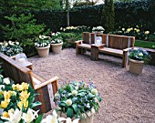 KEUKENHOF GARDENS  HOLLAND: GRAVEL COURTYARD WITH WOODEN BENCHES  CONTAINERS OF ALLIUM KARATAVIENSE  MUSCARI AND TULIPS AND NARCISSI
