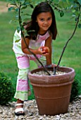 DESIGNER CLARE MATTHEWS: TREE HEART PROJECT. GIRL WITH APPLE AND TERRACOTTA CONTAINER AND TWO M26 UNSTOPPED INGRID MARIE APPLE TREES TWISTED INTO A HEART SHAPE
