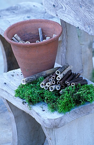 DESIGNER_CLARE_MATTHEWS__INSECT_DEN__INGREDIENTS_FOR_MAKING_DEN_WITH_HOLLOW_STICKS__MOSS_AND_A_TERRA