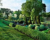 PETTIFERS  OXFORDSHIRE: THE PARTERRE IN SPRING WITH CLIPPED BOX AND YEW TOPIARY SHAPES AND MALUS HUPEHENSIS BEHIND