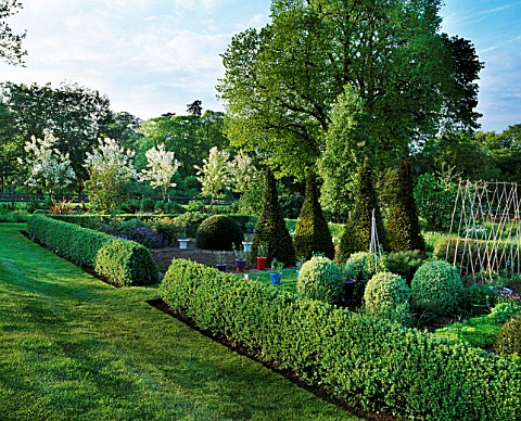 PETTIFERS__OXFORDSHIRE_THE_PARTERRE_IN_SPRING_WITH_CLIPPED_BOX_AND_YEW_TOPIARY_SHAPES_AND_MALUS_HUPE