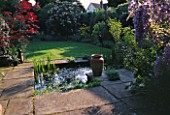 DESIGNER: SHEILA STEDMAN - VIEW FROM THE BACK OF THE HOUSE WITH RECTANGULAR POOL  LAWN  WISTERIA AND ACER IN A POT