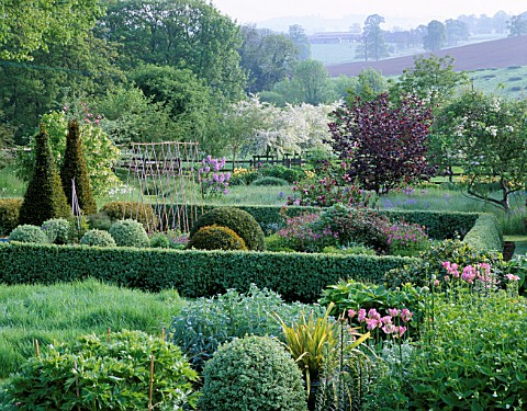 PETTIFERS__OXFORDSHIRE_VIEW_ACROSS_PARTERRE_WITH_TULIP_GREENLAND__CORYLUS_RED_ZELLERNUT_AND_MALUS_HU