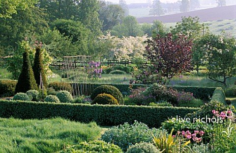 PETTIFERS_GARDEN__OXFORDSHIRE_THE_PARTERRE_IN_SPRING_WITH_MALUS_HUPEHENSIS_BEHIND
