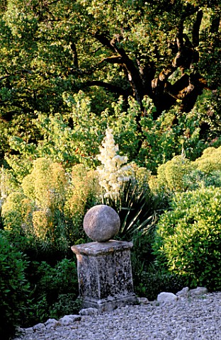 LA_CHABAUDE__FRANCE_DESIGNER__PHILIPPE_COTTET_PLANTING_OF_YUCCA_GLORIOSA_AND_EUPHORBIA_BESIDE_PATH_W