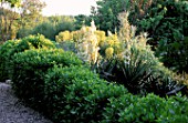 LA CHABAUDE  FRANCE: DESIGNER - PHILIPPE COTTET: PLANTING OF YUCCA GLORIOSA AND EUPHORBIA BESIDE PATH WITH HEDGE