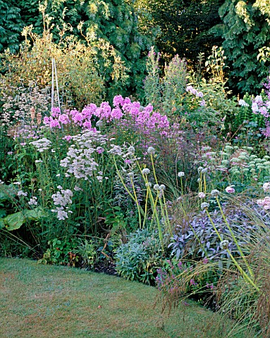 PASTEL_BORDER_WITH_PLANTED_WITH_PHLOX__ACHILLEA__SAGE_AND_ALLIUMS_DESIGNER__DAVID_CHASE
