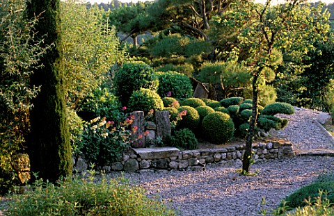 LA_CHABAUDE__FRANCE_DESIGNER__PHILIPPE_COTTET_CLIPPED_PINE_TREES_ON_TERRACE_ABOVE_STONE_WALL