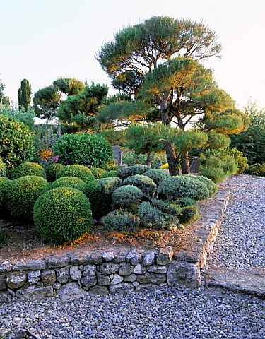 LA_CHABAUDE__FRANCE_DESIGNER__PHILIPPE_COTTET_RAISED_BED_WITH_STONE_WALL_AND_CLIPPED_TOPIARY_PINES_A