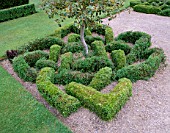 THE ABBEY HOUSE  WILTSHIRE: CLIPPED HOLLY TREE AND CLIPPED BOX ON THE PARTERRE