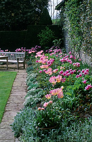 ST_MICHAELS_HOUSE__KENT_SPRING_BORDER_WITH_TULIP_BALLADE_AND_NEW_DESIGN_UNDERPLANTED_WITH_SWEET_ALLY