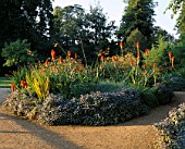 BORDER PLANTED WITH KNIPHOFIA PRINCE IGOR AND SALVIA OFFICINALIS PURPURASCENS. DESIGNER: TIM MYLES  COTSWOLD WILDLIFE PARK  OXFORDSHIRE