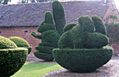 SQUIRREL AND RABBIT TOPIARY HEDGES. PARSONAGE  OMBERSLEY  WORCESTERSHIRE