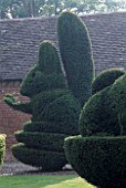 SQUIRREL AND RABBIT TOPIARY HEDGES. PARSONAGE  OMBERSLEY  WORCESTERSHIRE