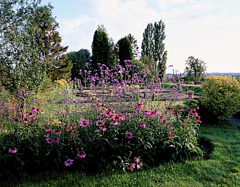 PARSONAGE__OMBERSLEY__WORCESTERSHIRE_BORDER_BESIDE_THE_PARTERRE_WITH_VERBENA_BONARIENSIS_AND_ECHINAC