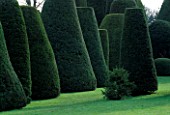 PACKWOOD HOUSE  WARWICKSHIRE: THE TOPIARY GARDEN IN WINTER
