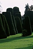 PACKWOOD HOUSE  WARWICKSHIRE: THE TOPIARY GARDEN IN WINTER