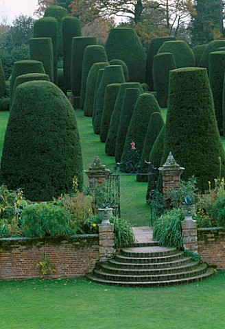PACKWOOD_HOUSE__WARWICKSHIRE_THE_TOPIARY_GARDEN_IN_WINTER_SEEN_FROM_THE_HOUSE