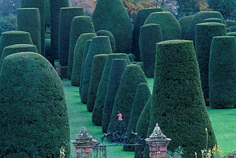 PACKWOOD_HOUSE__WARWICKSHIRE_THE_TOPIARY_GARDEN_IN_WINTER_SEEN_FROM_THE_HOUSE