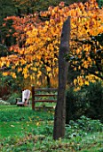 GREYSTONE COTTAGE  OXFORDSHIRE: A METAL STILE BENEATH A CHERRY TREE ON THE LAWN IN AUTUMN WITH ADIRONDACK CHAIRS IN BACKGROUND