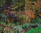 GREYSTONE COTTAGE  OXFORDSHIRE: AUTUMNAL BORDER BESIDE THE LAWN WITH COTINUS  CHERRY  MISCANTHUS AND SEDUMS
