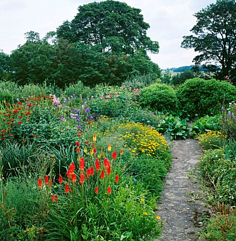 THE_HOT_BORDER_WITH_KNIPHOFIA__RED_LYCHNIS_CHALCEDONICA_AND_BUPHTHALMUM_YELLOW_THE_MANOR_HOUSE__UPTO