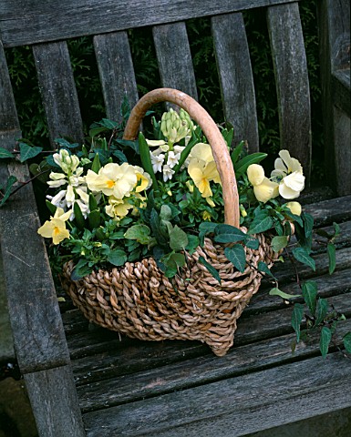 WICKER_BASKET_PLANTED_WITH_WHITE_HYACINTHS__YELLOW_PANSIES_AND_IVY_DESIGN_ASHWOOD_GARDEN_NURSERY