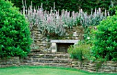 STACHYS GROWS OVER DRY STONE WALL BEHIND SIMPLE STONE BENCH THE MANOR HOUSE  UPTON GREY  HAMPSHIRE