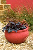 RED PAINTED TERRACOTTA CONTAINER IN BARN GARDEN PLANTED WITH HEUCHERA  CAREX DIPSACEA  UNCINIA UNCINIATA RUBRA. DESIGNER: CLIVE NICHOLS