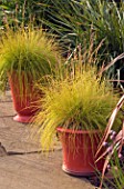 RED GLAZED CONTAINERS PLANTED WITH YELLOW GRASS. PETTIFERS  OXORDSHIRE. DESIGNER: GINA PRICE