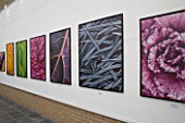 CLIVE NICHOLS NEW SHOOTS EXHIBITION AT CHENDERIT SCHOOL  MIDDLETEON CHENEY