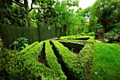 BOX EDGED KNOT GARDEN BESIDE A WOODEN FENCE AT THE COTTAGE HERBERY   WORCESTERSHIRE