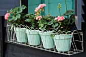 PINK GERANIUMS IN PALE GREEN POST IN WIRE WINDOW BOX.