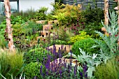 WOODEN CUBES ACT AS STEPPING SQUARES AMONGST BORDER WITH GRASSES AND CARDOON. MERRILL LYNCH GARDEN   CHELSEA 2005. DESIGN ANDY STURGEON