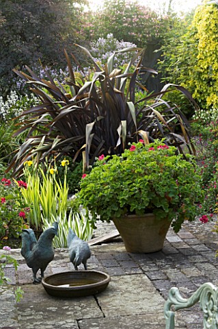 CHICKENS_AND_BIRDBATH_ON_THE_TERRACE_WITH_PHORMIUMS_JANET_CROPLEY_GARDEN__HILL_GROUNDS__NORTHAMPTONS
