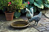 CHICKENS AND STONE BIRD BATH ON THE TERRACE. JANET CROPLEY GARDEN  HILL GROUNDS  NORTHAMPTONSHIRE
