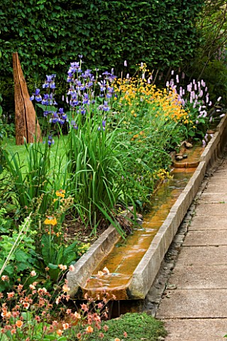 WATER_FEATURE_A_RILL_RUNS_ALONGSIDE_A_PATH_WITH_IRISES__PRIMULAS_AND_GEUMSIN_THE_BACKGROUND_IS_CHARR