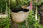 WATER FEATURE: RILL DROPPING DOWN INTO A CIRCULAR POOL  WITH FOXGLOVES. WINGWELL NURSERY   RUTLAND