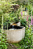 WINGWELL NURSERY  RUTLAND: WATER FEATURE. RILL DROPPING DOWN TO CIRCULAR POOL WITH FOXGLOVES