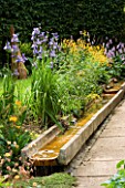 IRISES  PRIMULAS AND GEUMS BESIDE A RILL  NEXT TO A PATH AT WINGWELL NURSERY   RUTLAND. IN THE BACKGROUND IS A TIMBER SCULPTURE CALLED SEMI CHARRED SPIRES BY ALSION CROWTHER
