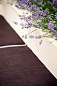 LIMEWASHED RENDERED BENCH WITH BROWN CUSHIONS BACKED WITH LAVANDULA LITTLE LADY IN RAISED BED.  DESIGNER: CHARLOTTE ROWE