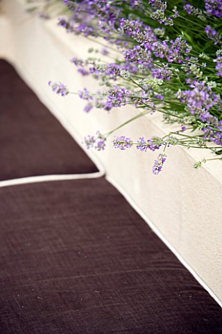 LIMEWASHED_RENDERED_BENCH_WITH_BROWN_CUSHIONS_BACKED_WITH_LAVANDULA_LITTLE_LADY_IN_RAISED_BED__DESIG